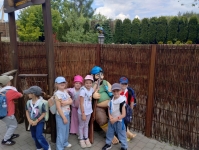 img_20250521_124021939_hdr-kopiowanie-jpg1752773109